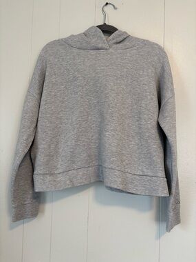Lole Light Heather Gray Icon Cropped Hoodie Sweatshirt